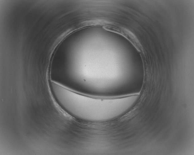 X0000073430946200607281002