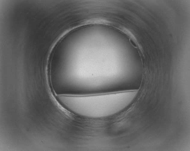 X0000073430947200607281002