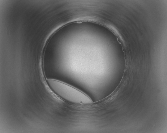 X0000073430952200607281002