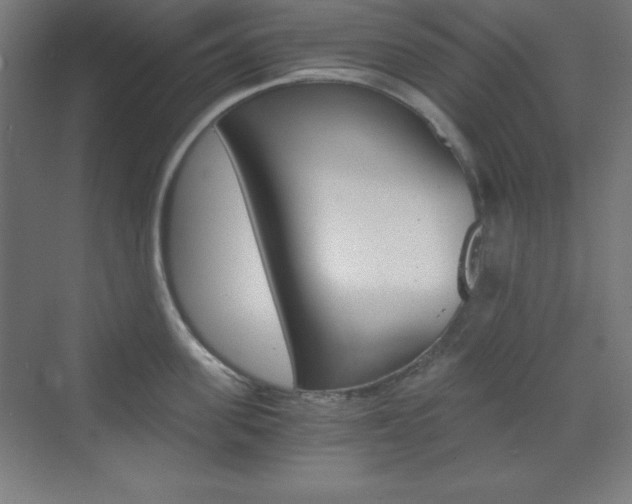 X0000073430955200607281002