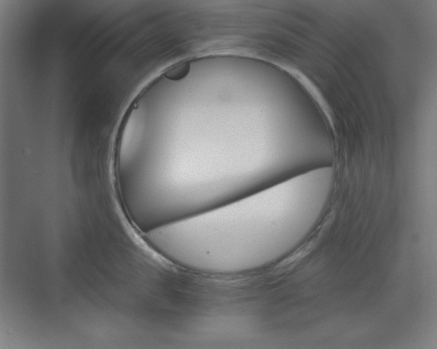 X0000073430957200607281002