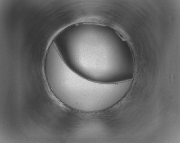 X0000073430960200607281002