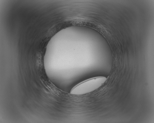 X0000073430964200607281001