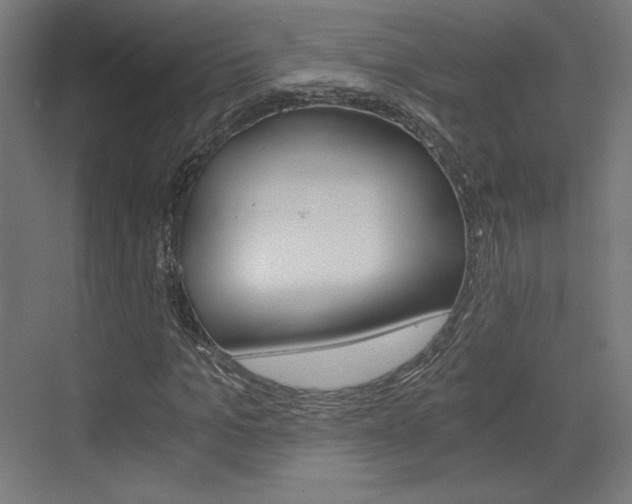 X0000073430965200607281001