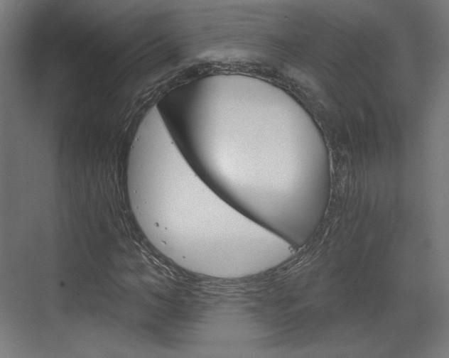 X0000073430966200607281001