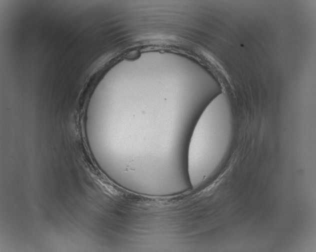 X0000073430970200607281001
