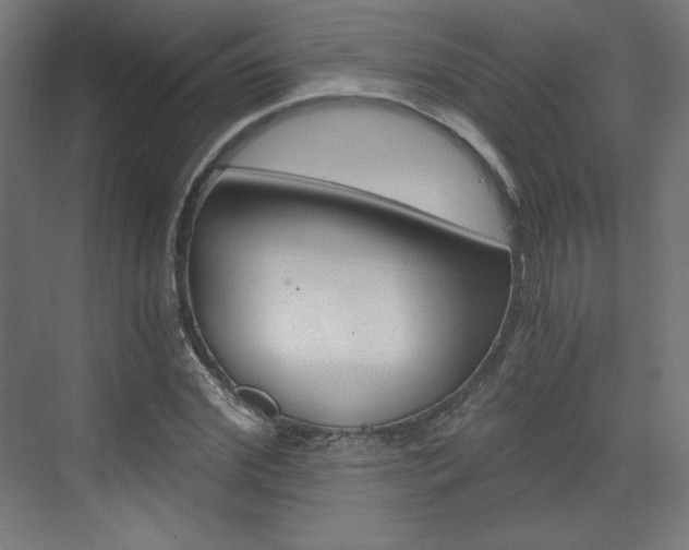 X0000073430972200607281001