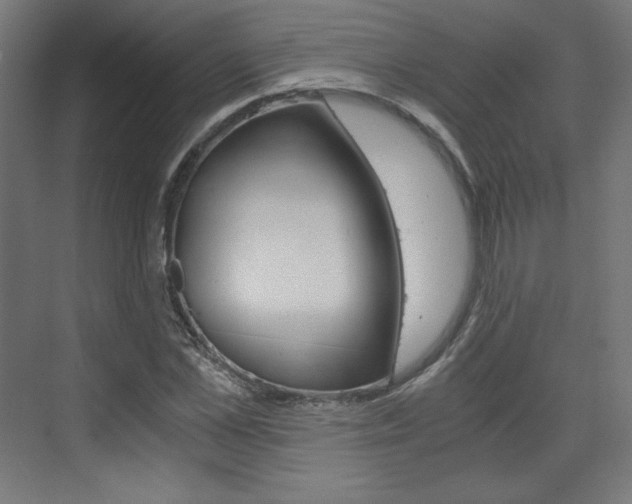 X0000073430973200607281001