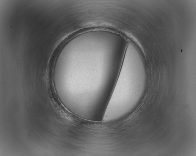 X0000073430975200607281001