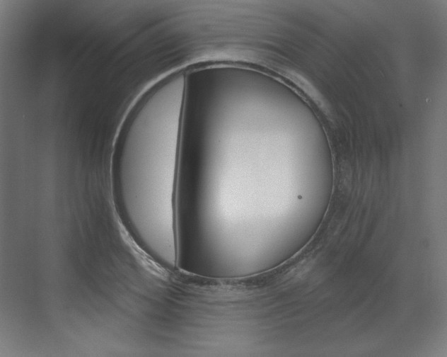 X0000073430980200607281001