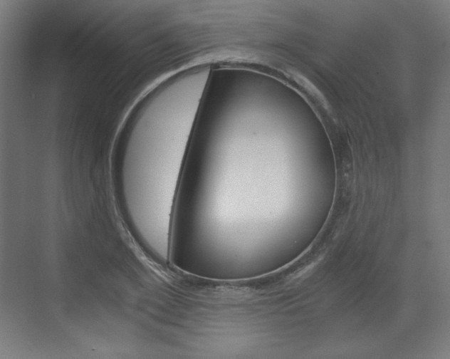 X0000073430981200607281001