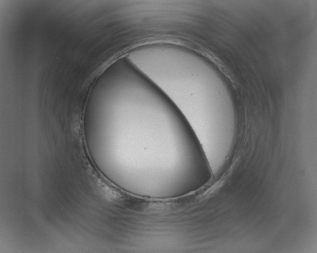 X0000073430985200607281001