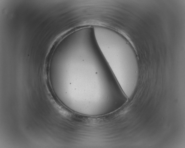 X0000073430987200607281001