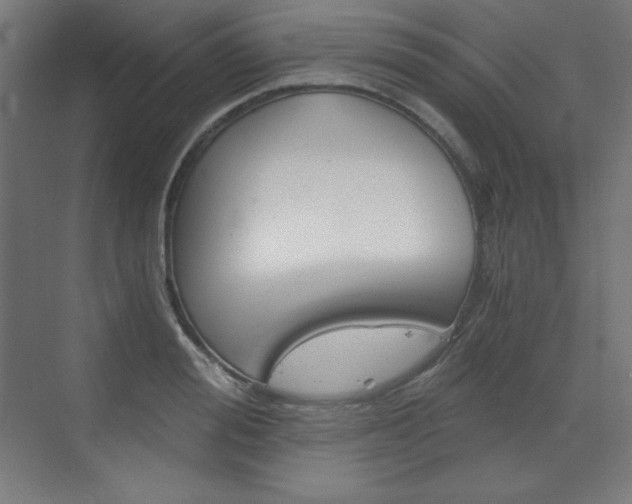 X0000073430988200607281001