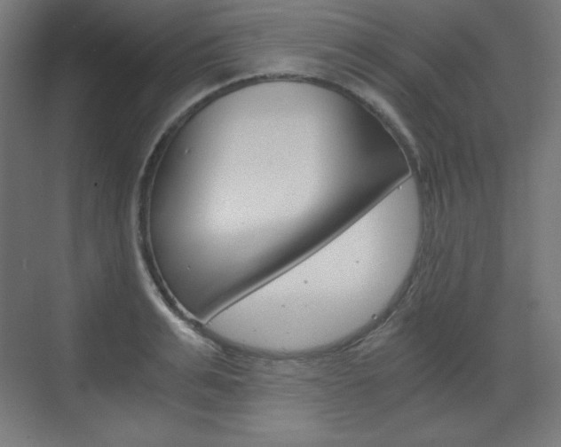 X0000073430991200607281000
