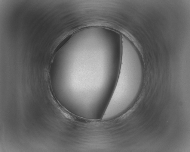 X0000073430993200607281000