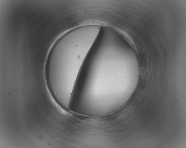 X0000073430995200607281000