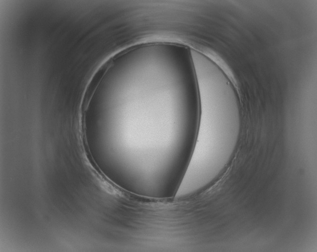 X0000073430996200607281000