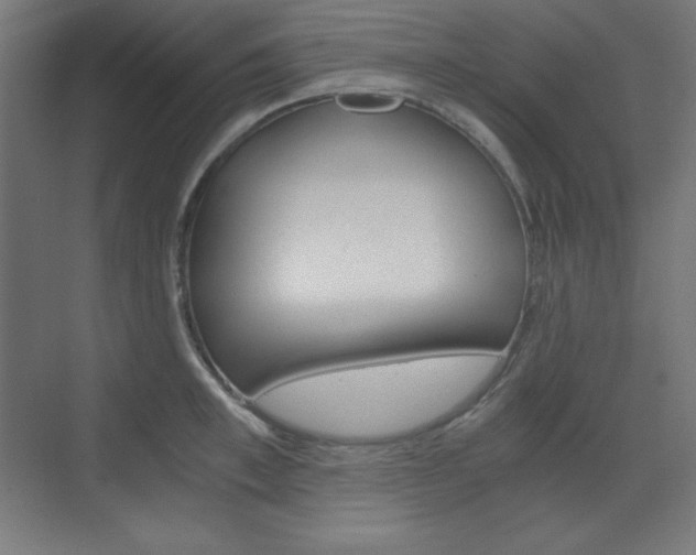 X0000073430997200607281000