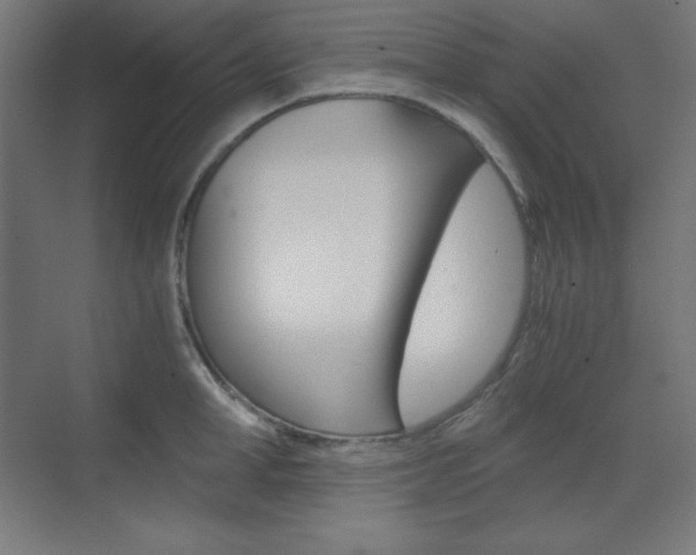 X0000073430998200607281000