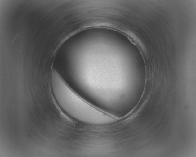 X0000073431001200607281000