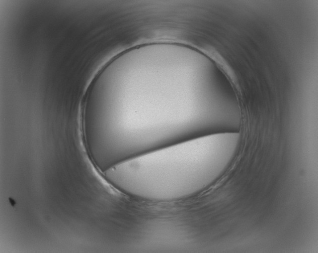 X0000073431006200607281000