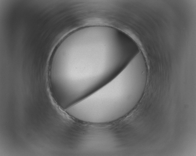 X0000073431008200607281000