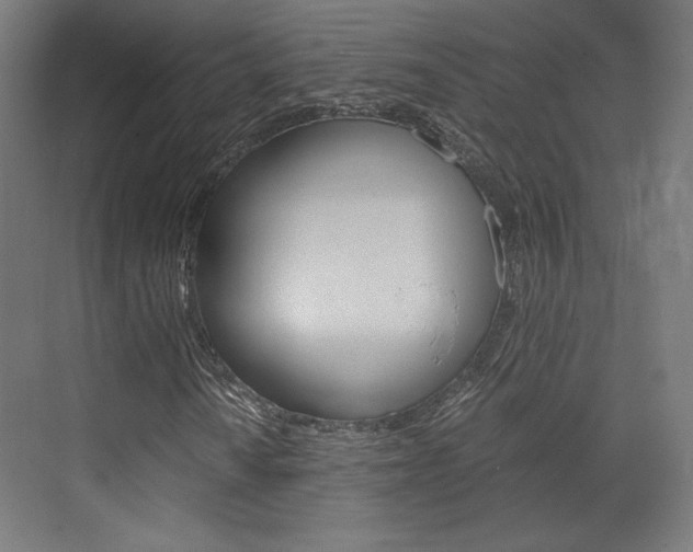 X0000073431010200607280959