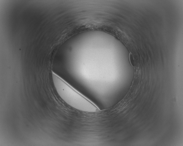 X0000073431012200607280959
