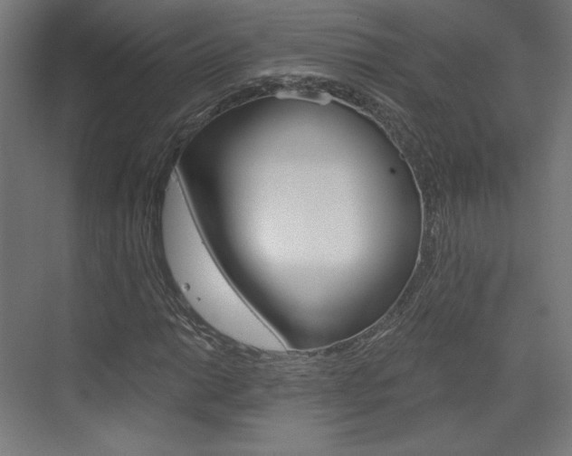 X0000073431014200607280959