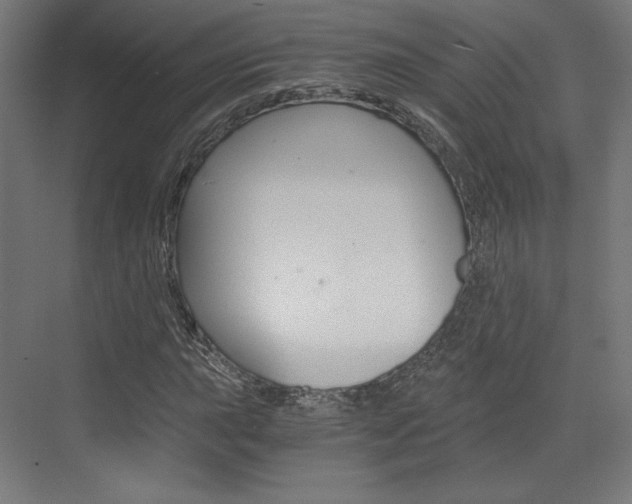 X0000073431015200607280959