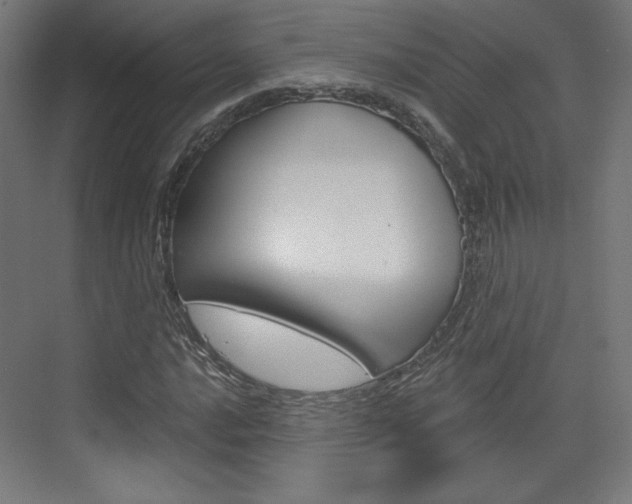 X0000073431016200607280959