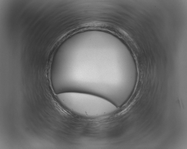 X0000073431017200607281000