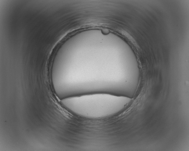 X0000073431023200607281000