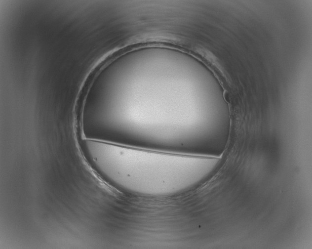 X0000073431024200607281000