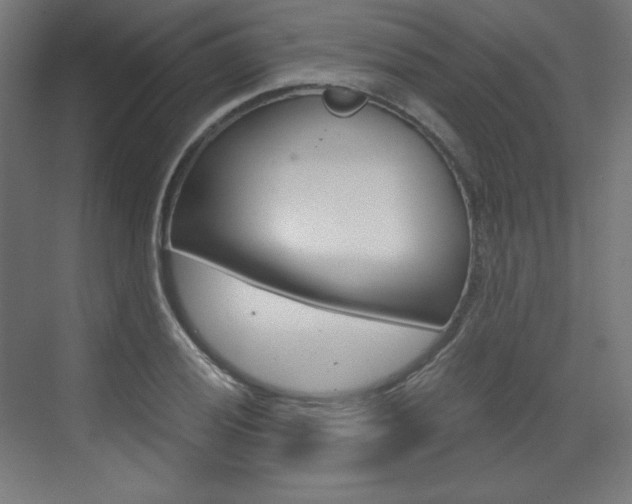 X0000073431028200607281000