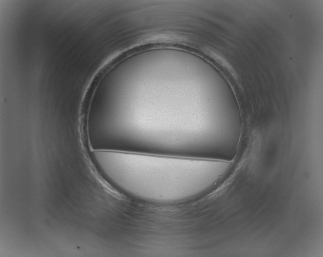 X0000073431029200607281000