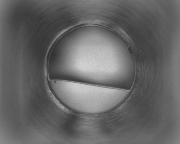 X0000073431036200607281000