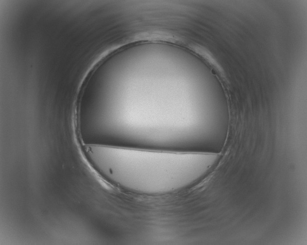 X0000073431040200607281000