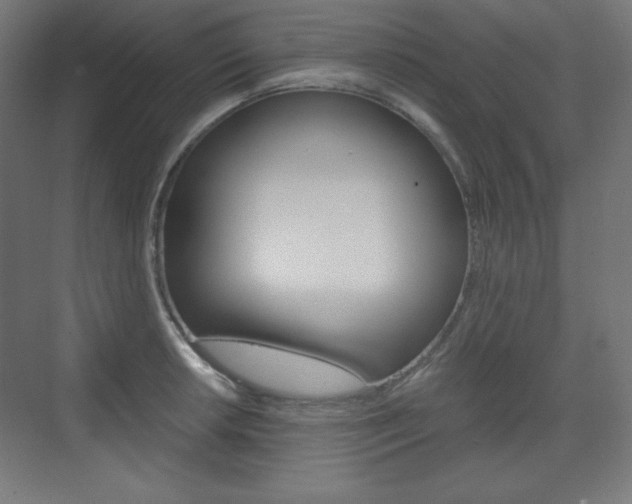 X0000073431042200607281000