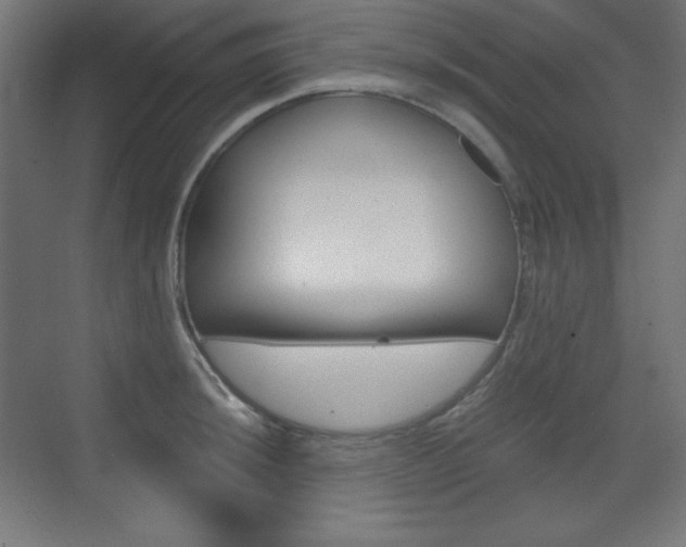 X0000073431044200607281000