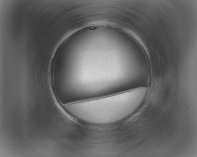 X0000073431045200607281000