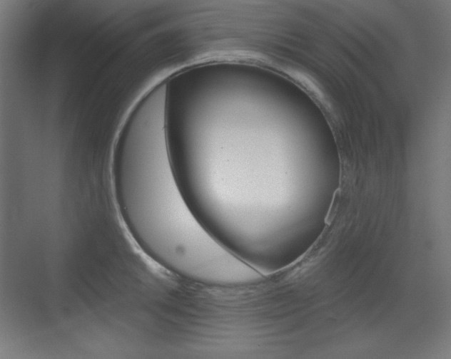 X0000073431046200607281000