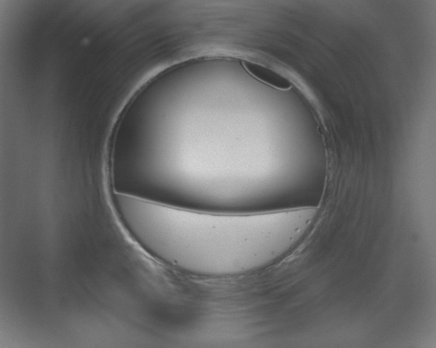 X0000073431048200607281000