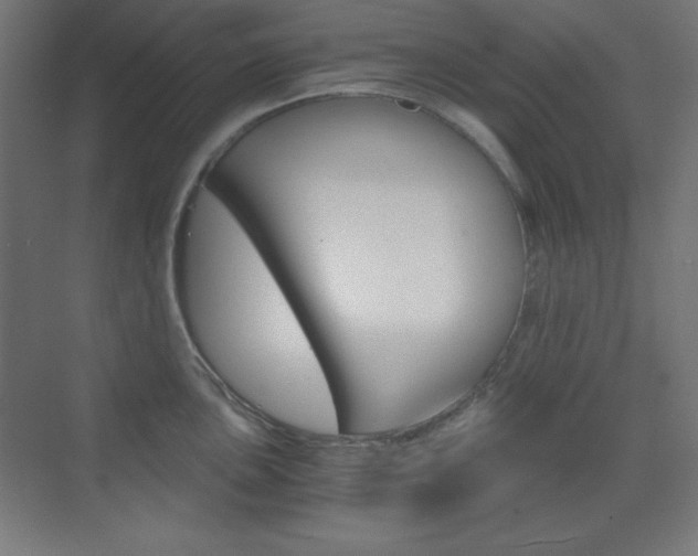 X0000073431051200607281000