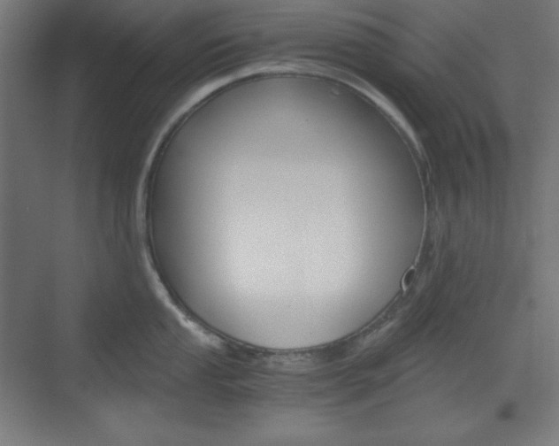 X0000073431053200607281000