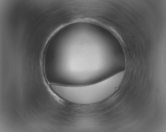X0000073431054200607281000