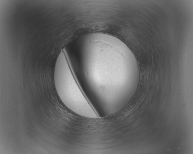 X0000073431058200607280959