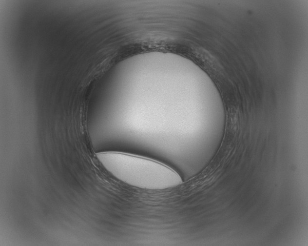 X0000073431060200607280959