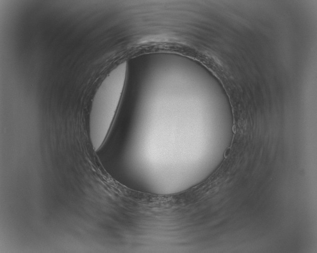 X0000073431062200607280959